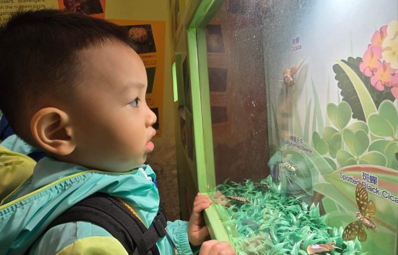 20251103_062143000_iOS 2